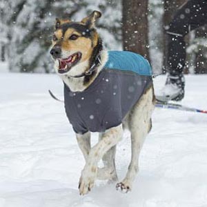 Hondenjassen-ruffwear