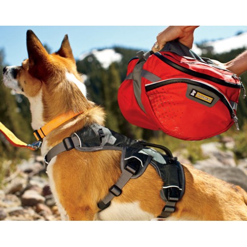 Hondenrugzak Ruffwear Palisades Pack previous design