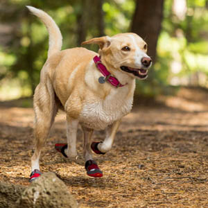 hondenschoen-ruffwear-grip-trex