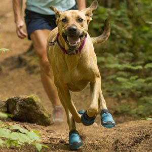 Hondenschoenen-ruffwear