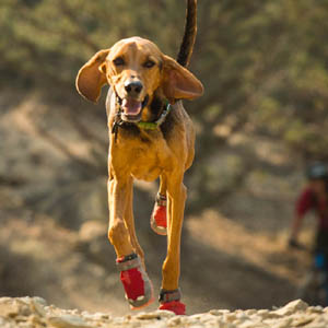antislip-hondenschoenen-ruffwear