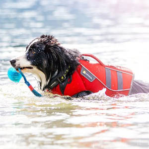 Hondenzwemvest-k-9-float-coat